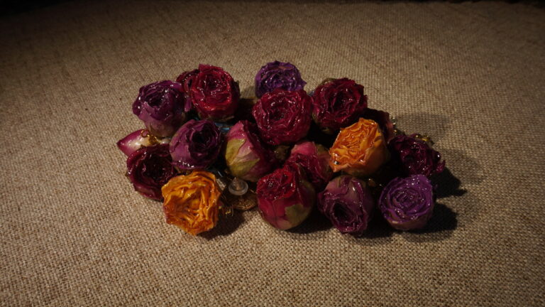 Pourquoi nos roses ne se fanent pas